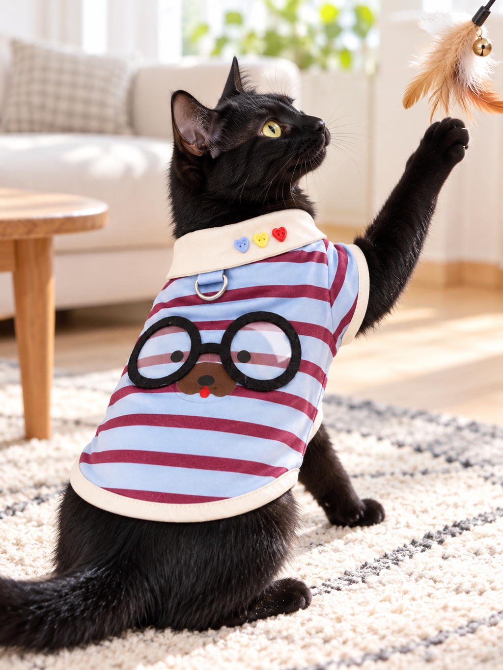 Blue Striped modeled by a cat, view 3