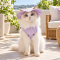 Purple Tank+Hat modeled by a cat, view 1